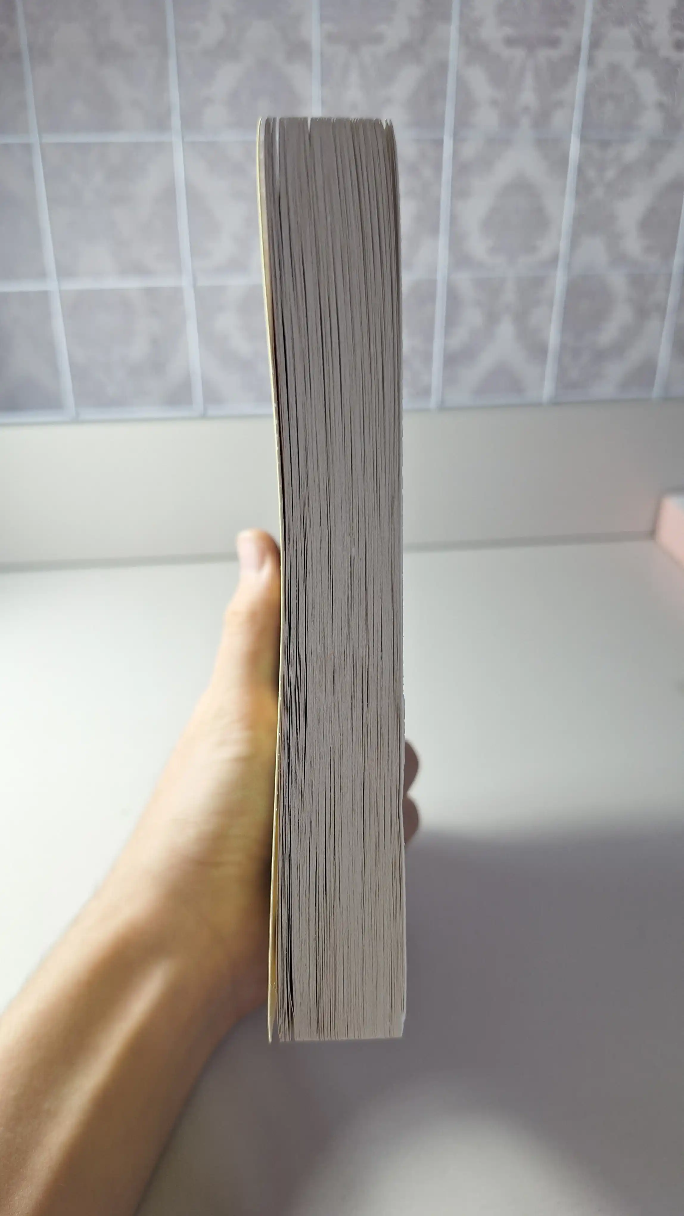 Franz Kafka: The Trial