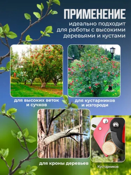 Daraxtlar uchun bog‘ shtangali novda keskich