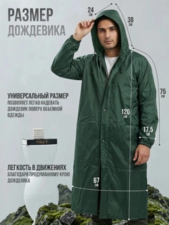 Лесной зеленый