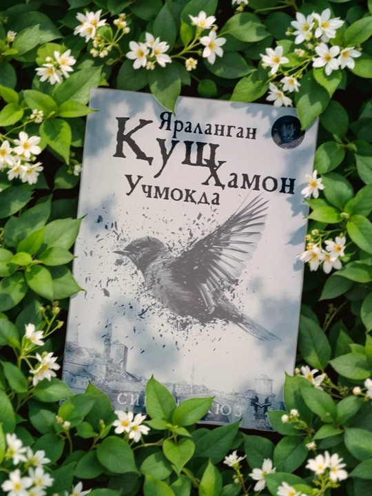 Yaralangan qush hamon uchmoqda — Sinan Akyuz