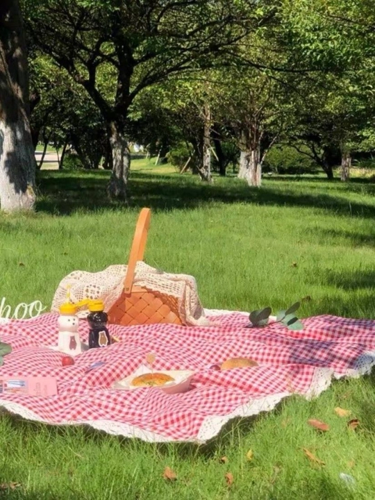 Piknik uchun katakli dekorativ pled gilamcha