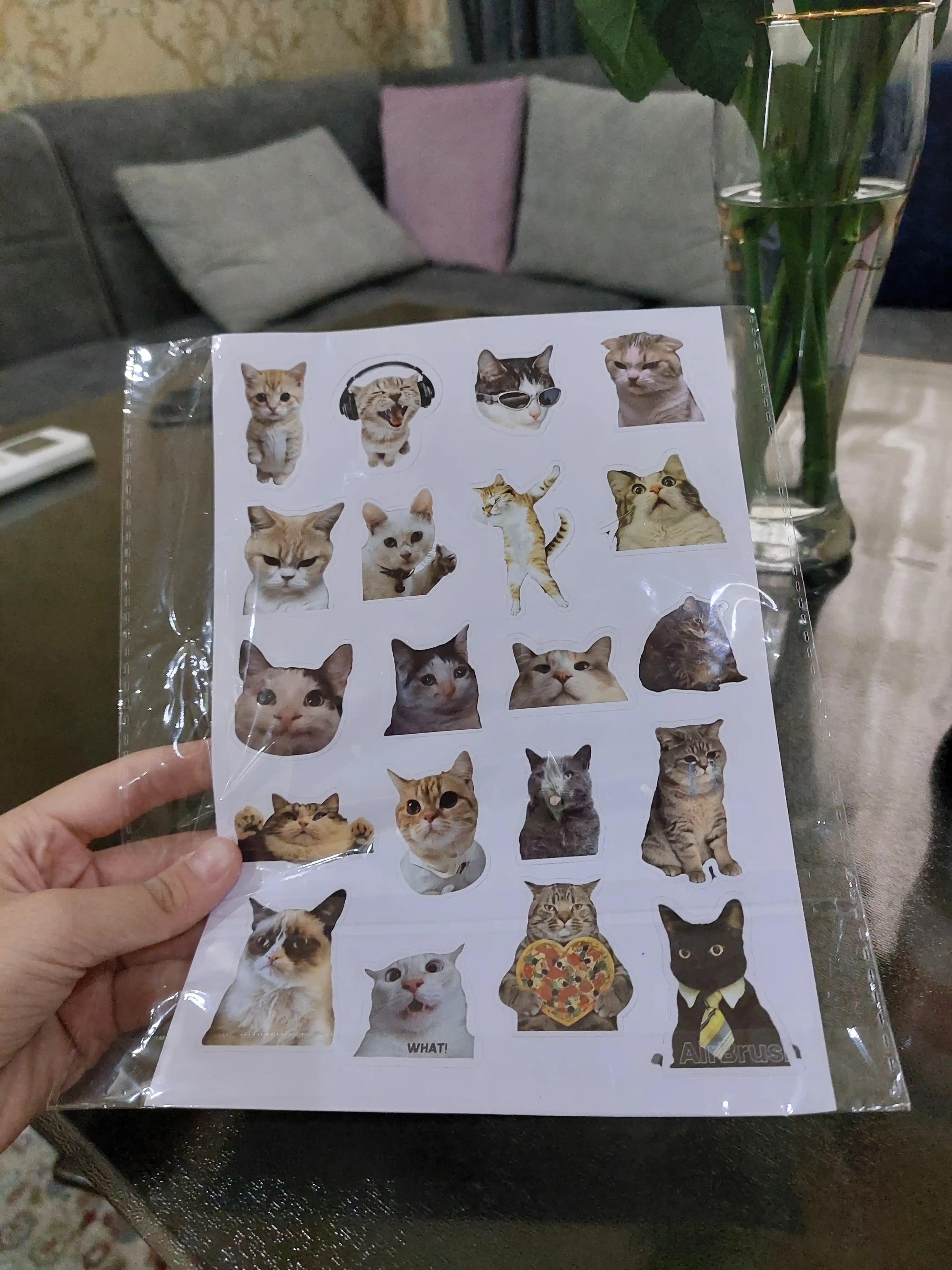 Стикеры смешных котят