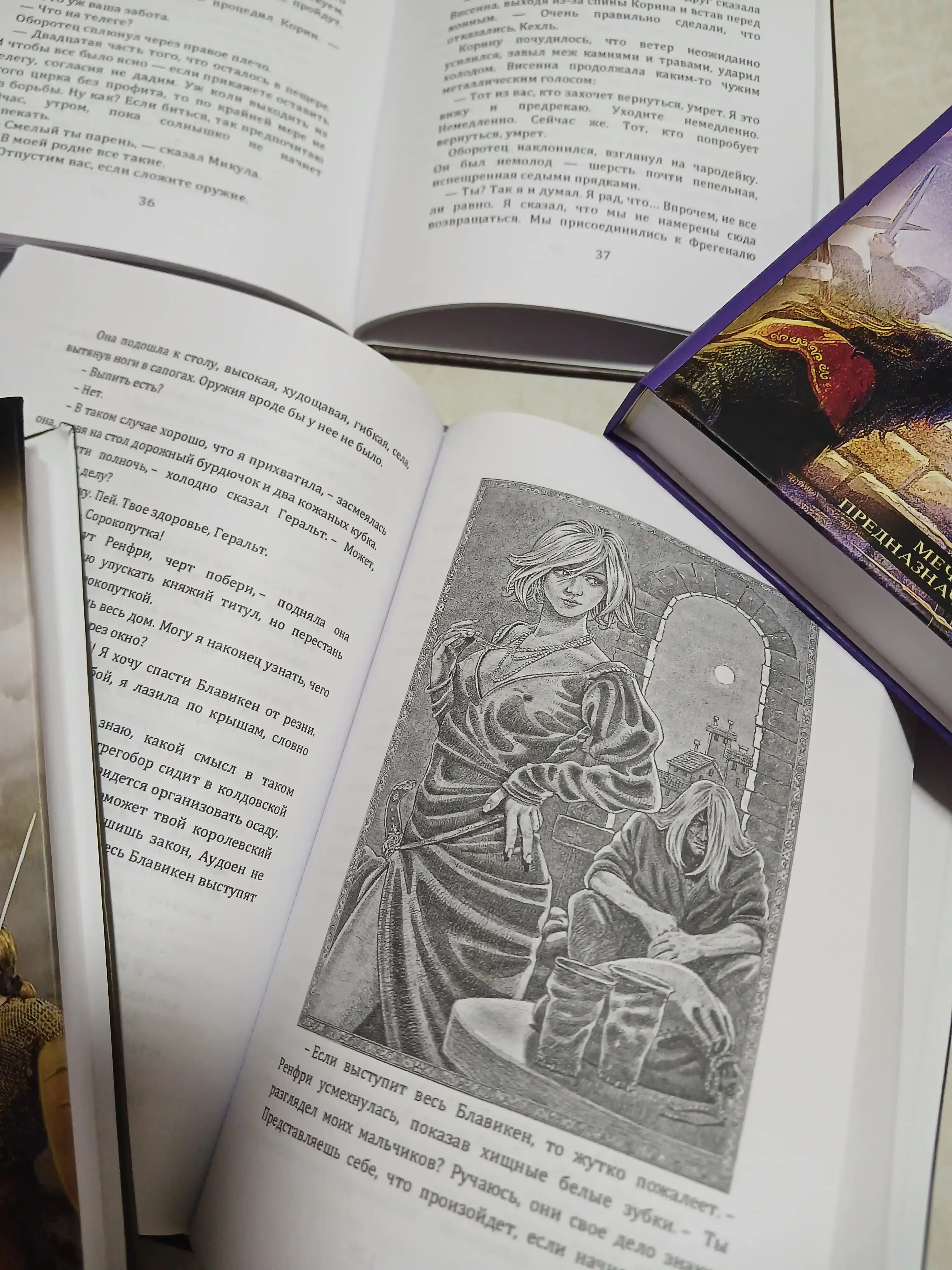 Witcher seriyasi. Barcha kitoblar rus tilida