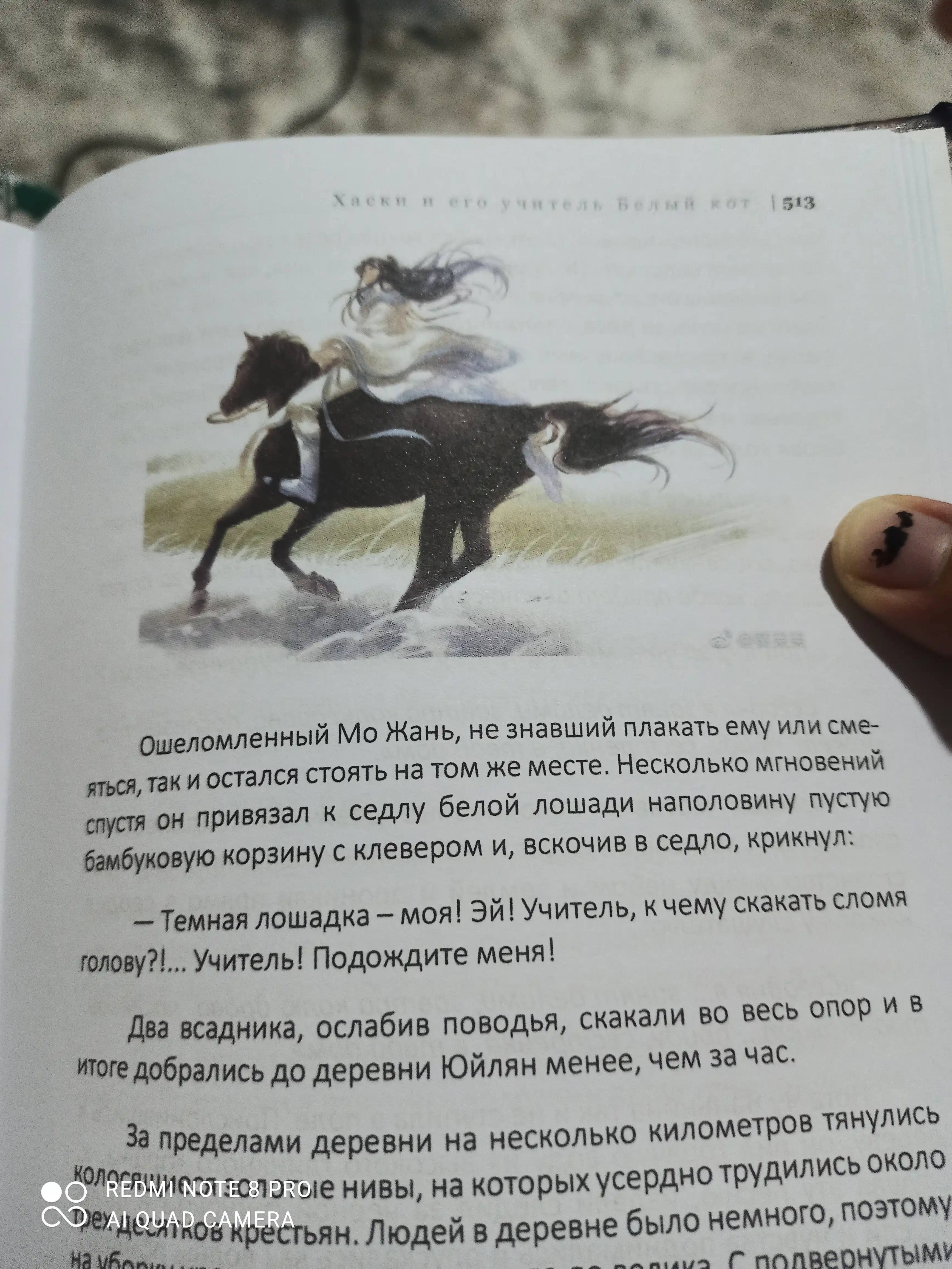 Новелла, Хаски и его учитель Белый кот, 3 том