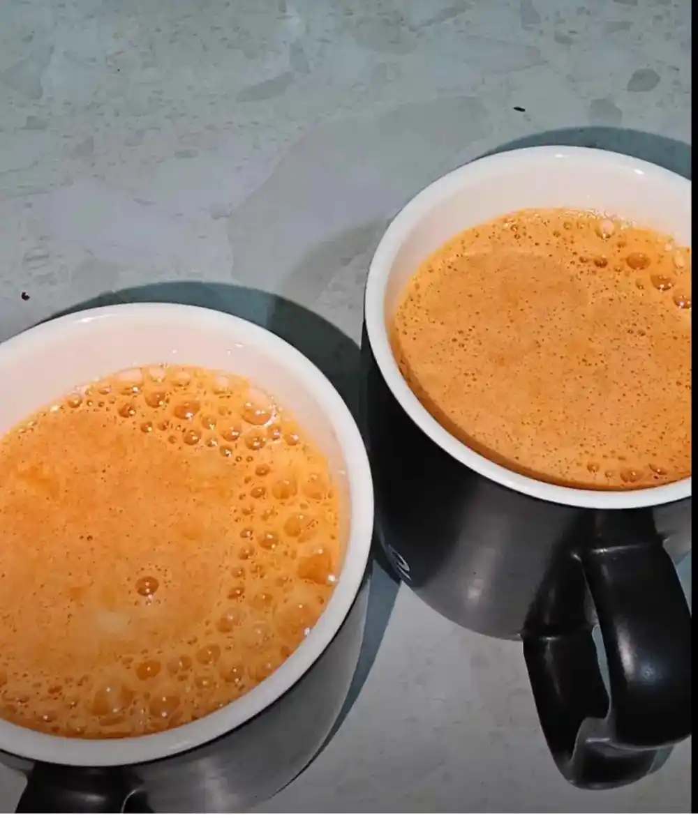Соковыжималка SOFANER