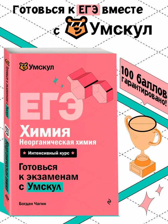 Чагин Б. — ЕГЭ Химия. Неорганическая химия | Теория и практика для подготовки - 