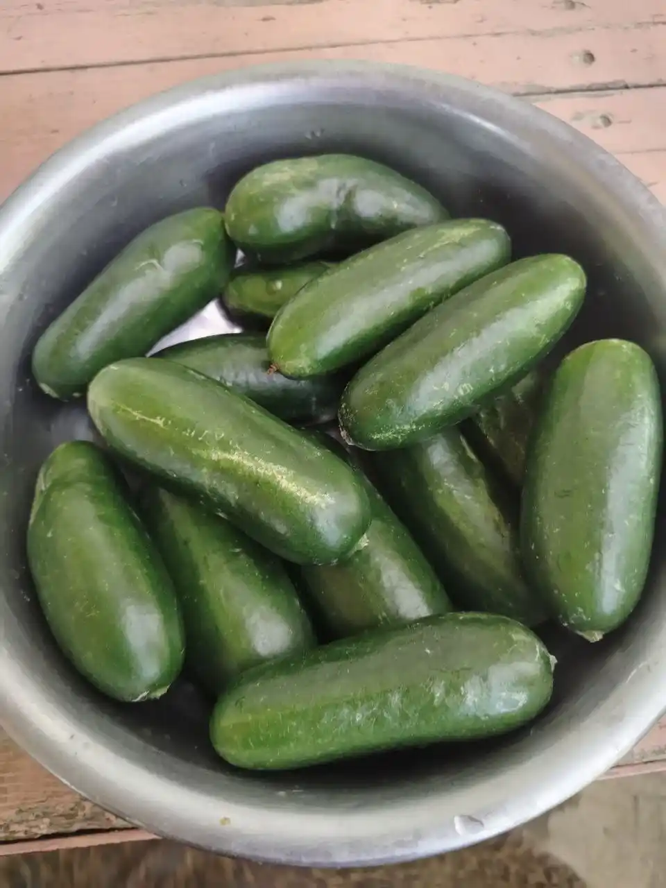 Семена овощей для дома Seeds