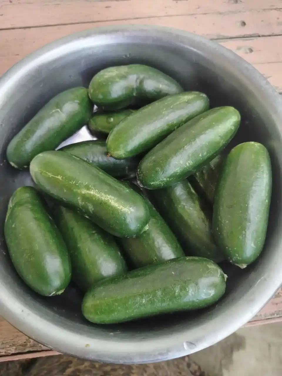 Семена овощей для дома Seeds