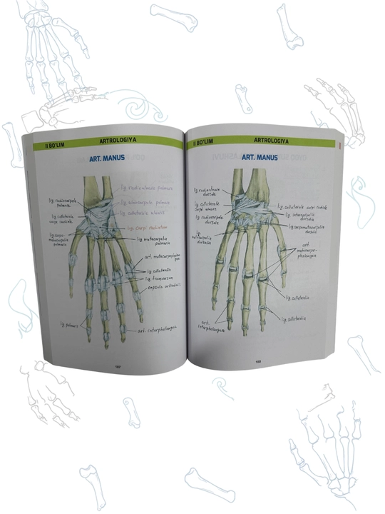 Tibbiyot kitobi, MEDoptimal anatomiya, tibbiyot talabalari uchun darslik, qo‘llanma