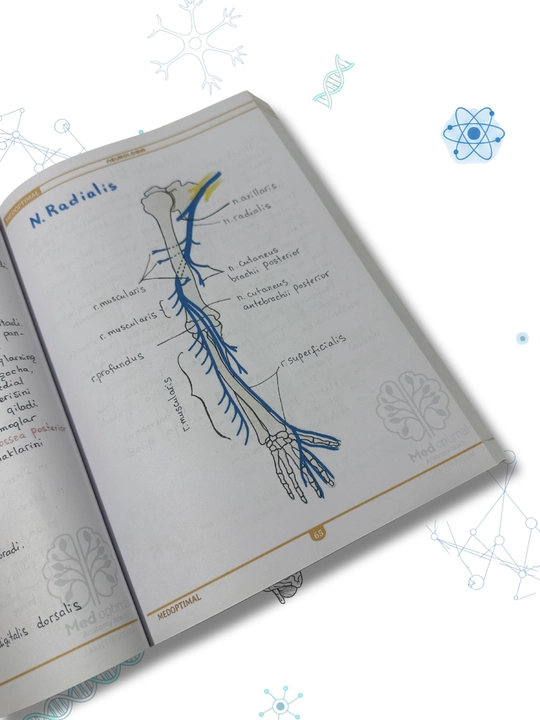 Tibbiyot kitobi, MEDoptimal anatomiya, tibbiyot talabalari uchun darslik, qo‘llanma