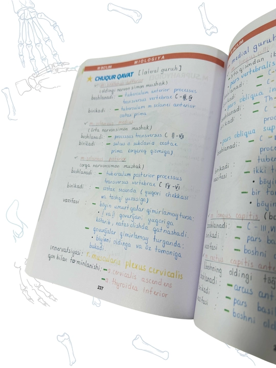 Tibbiyot kitobi, MEDoptimal anatomiya, tibbiyot talabalari uchun darslik, qo‘llanma