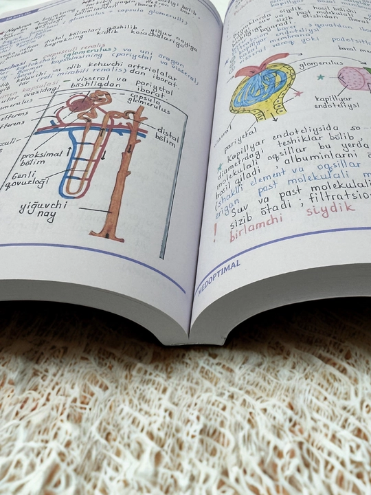 Tibbiyot kitobi, MEDoptimal anatomiya, tibbiyot talabalari uchun darslik, qo‘llanma