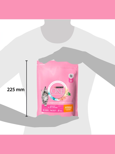 Purina One Uy, mushukchalar uchun quruq ozuqasi, tovuqli, 200 gr