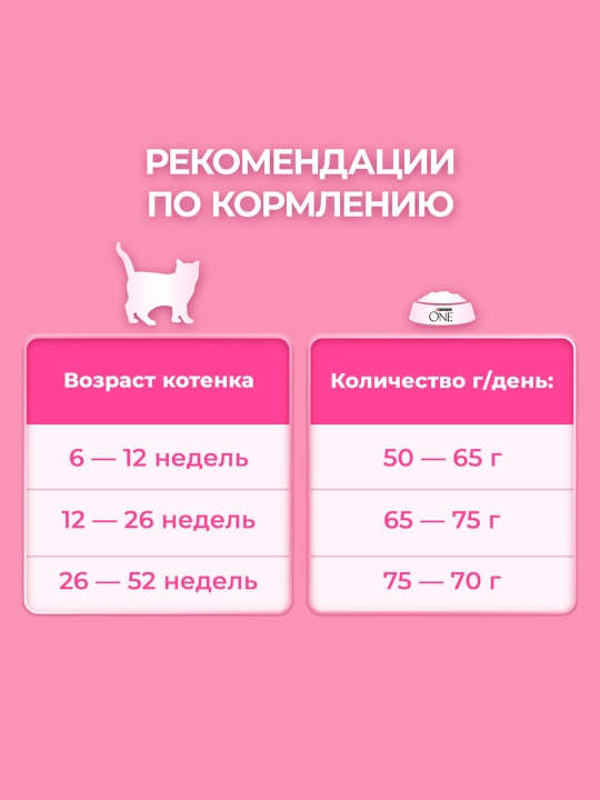 Purina One Uy, mushukchalar uchun quruq ozuqasi, tovuqli, 200 gr