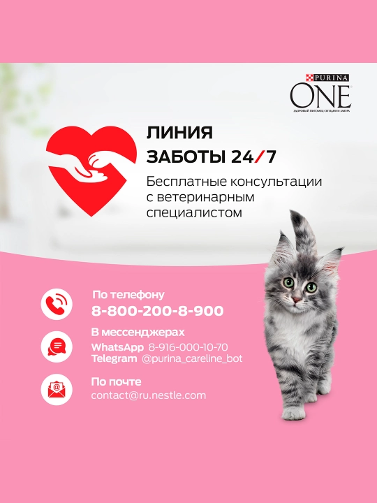 Purina One Uy, mushukchalar uchun quruq ozuqasi, tovuqli, 200 gr