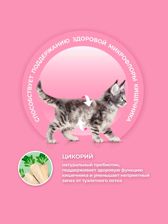 Purina One Uy, mushukchalar uchun quruq ozuqasi, tovuqli, 200 gr