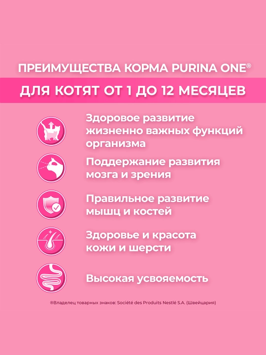 Purina One Uy, mushukchalar uchun quruq ozuqasi, tovuqli, 200 gr