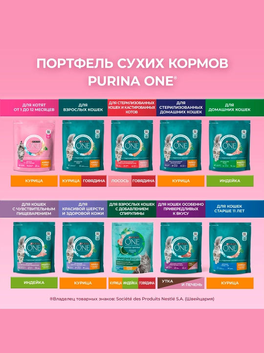 Purina One Uy, mushukchalar uchun quruq ozuqasi, tovuqli, 200 gr
