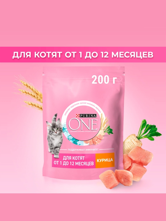 Purina One Uy, mushukchalar uchun quruq ozuqasi, tovuqli, 200 gr - 