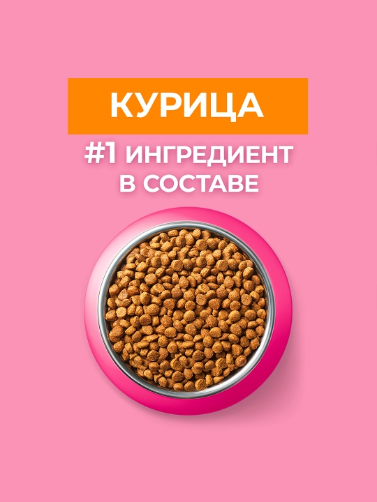 Purina One Uy, mushukchalar uchun quruq ozuqasi, tovuqli, 200 gr
