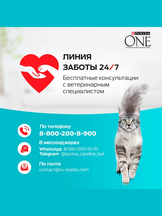 Purina One Uy, кatta mushuklar uchun quruq ozuqasi, losos bilan, 200 gr
