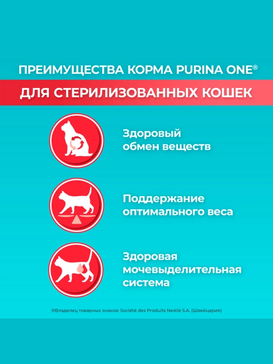 Purina One Uy, кatta mushuklar uchun quruq ozuqasi, losos bilan, 200 gr