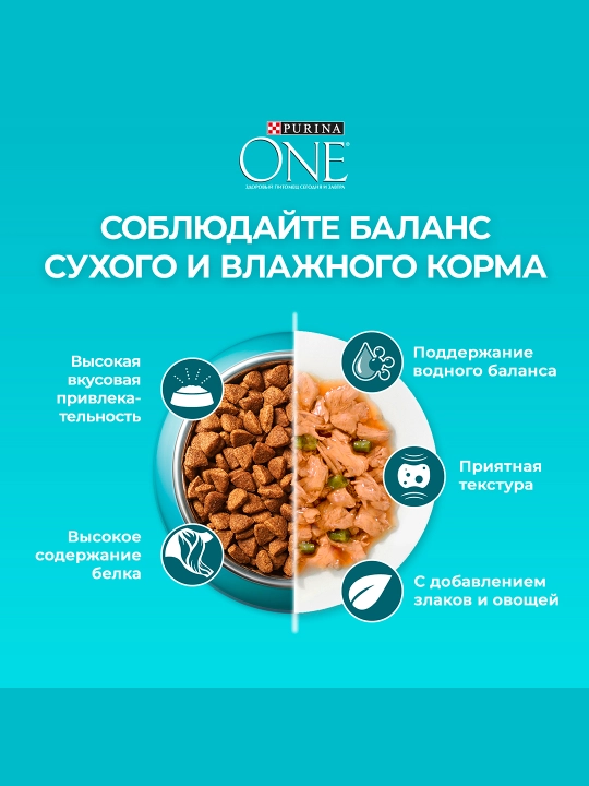 Purina One Uy, кatta mushuklar uchun quruq ozuqasi, losos bilan, 200 gr