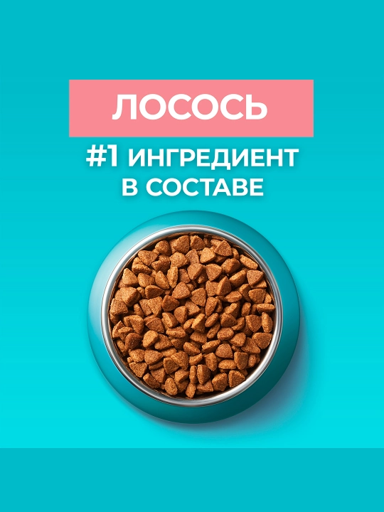 Purina One Uy, кatta mushuklar uchun quruq ozuqasi, losos bilan, 200 gr