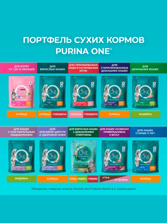 Purina One Uy, кatta mushuklar uchun quruq ozuqasi, losos bilan, 200 gr