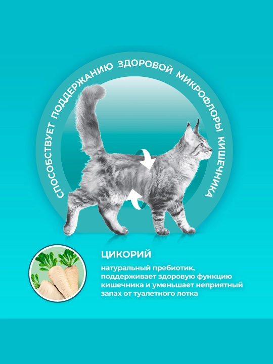 Purina One Uy,  кatta mushuklar uchun kurka go‘shti qo‘shilgan quruq ozuqa, 200 g