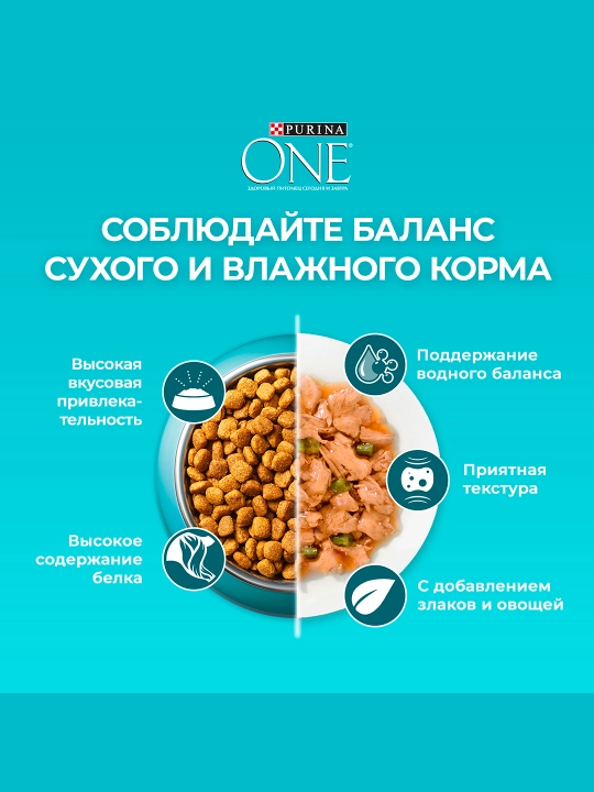 Purina One Uy,  кatta mushuklar uchun kurka go‘shti qo‘shilgan quruq ozuqa, 200 g