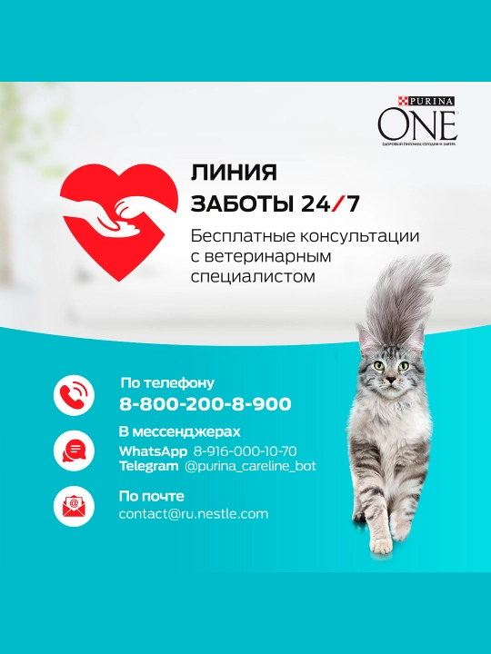 Purina One Uy,  кatta mushuklar uchun kurka go‘shti qo‘shilgan quruq ozuqa, 200 g