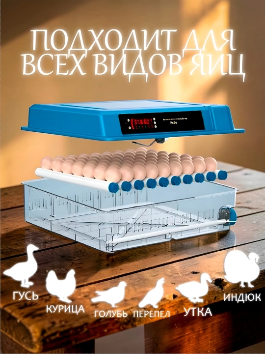 24 ta tuxumli avtomatik inkubator, avtomatik aylantirishli