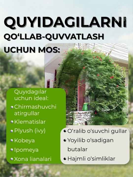 O'simliklar uchun bog' tayanchi, dekorativ ushlagich