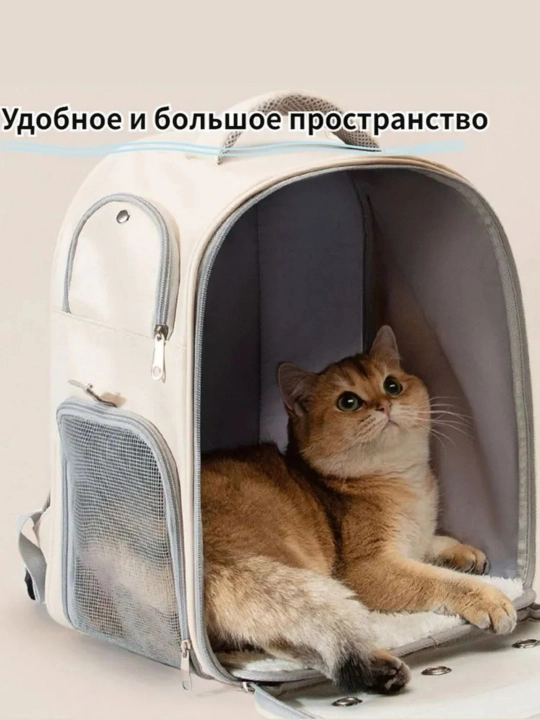 Портативный и дышащий рюкзак для домашних животных, сумка для кошек на выход