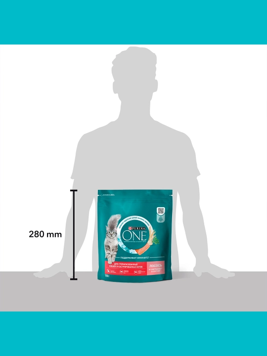 Purina One Uy, кatta mushuklar uchun quruq ozuqasi, losos bilan, 750 gr