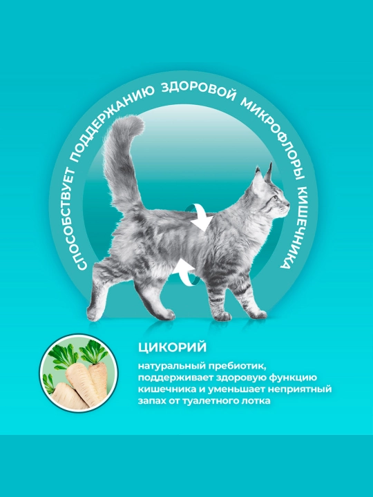 Purina One Uy, кatta mushuklar uchun quruq ozuqasi, losos bilan, 750 gr