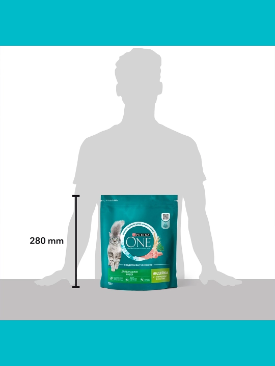 Purina One Uy, кatta mushuklar uchun kurka go‘shti qo‘shilgan quruq ozuqasi, 750 gr