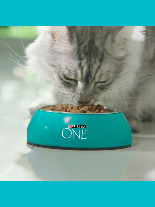 Purina One Uy, кatta mushuklar uchun kurka go‘shti qo‘shilgan quruq ozuqasi, 750 gr