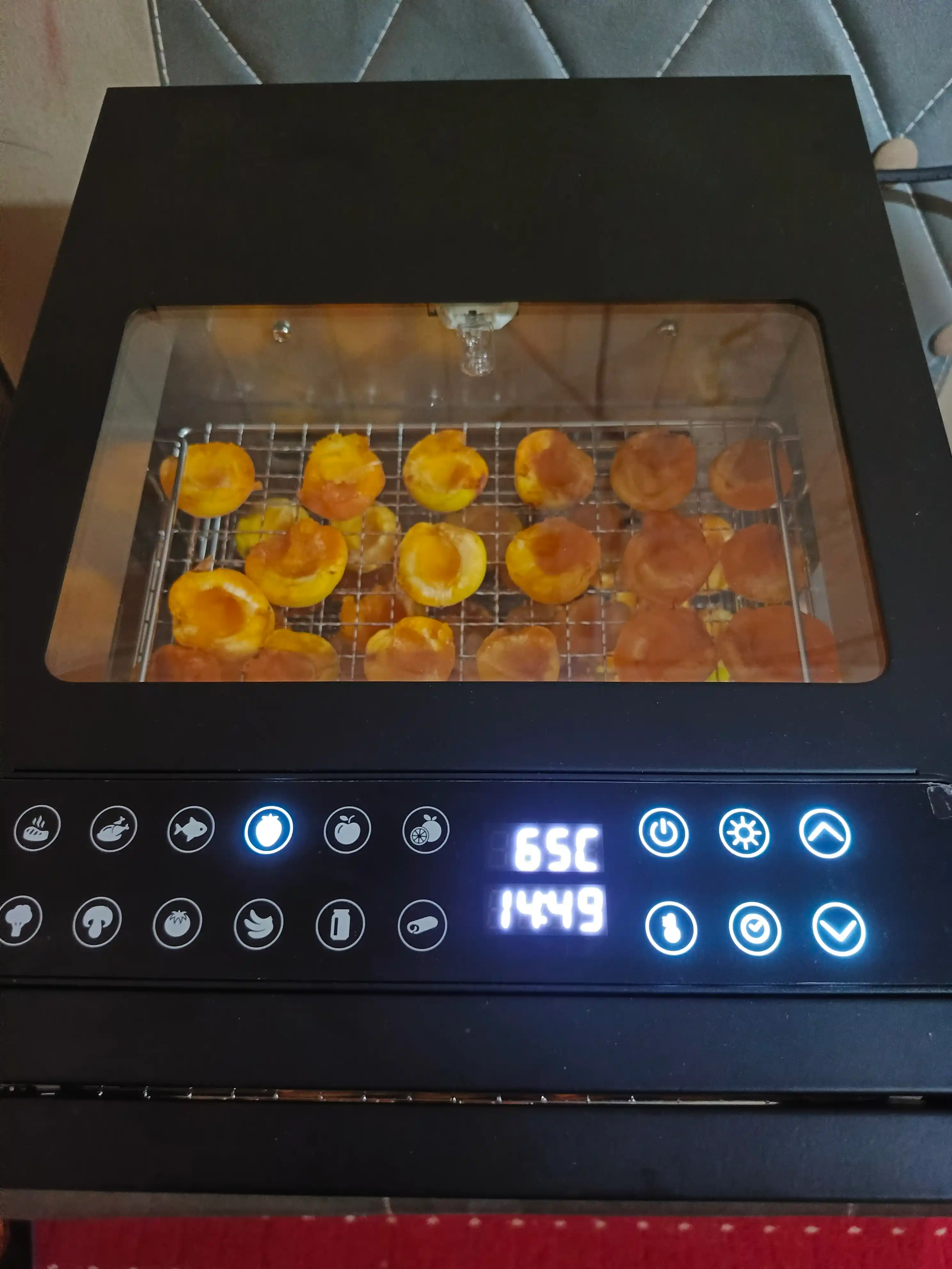 Meva va sabzavot quritgichi Dehidratator DEFT DTFD-1012