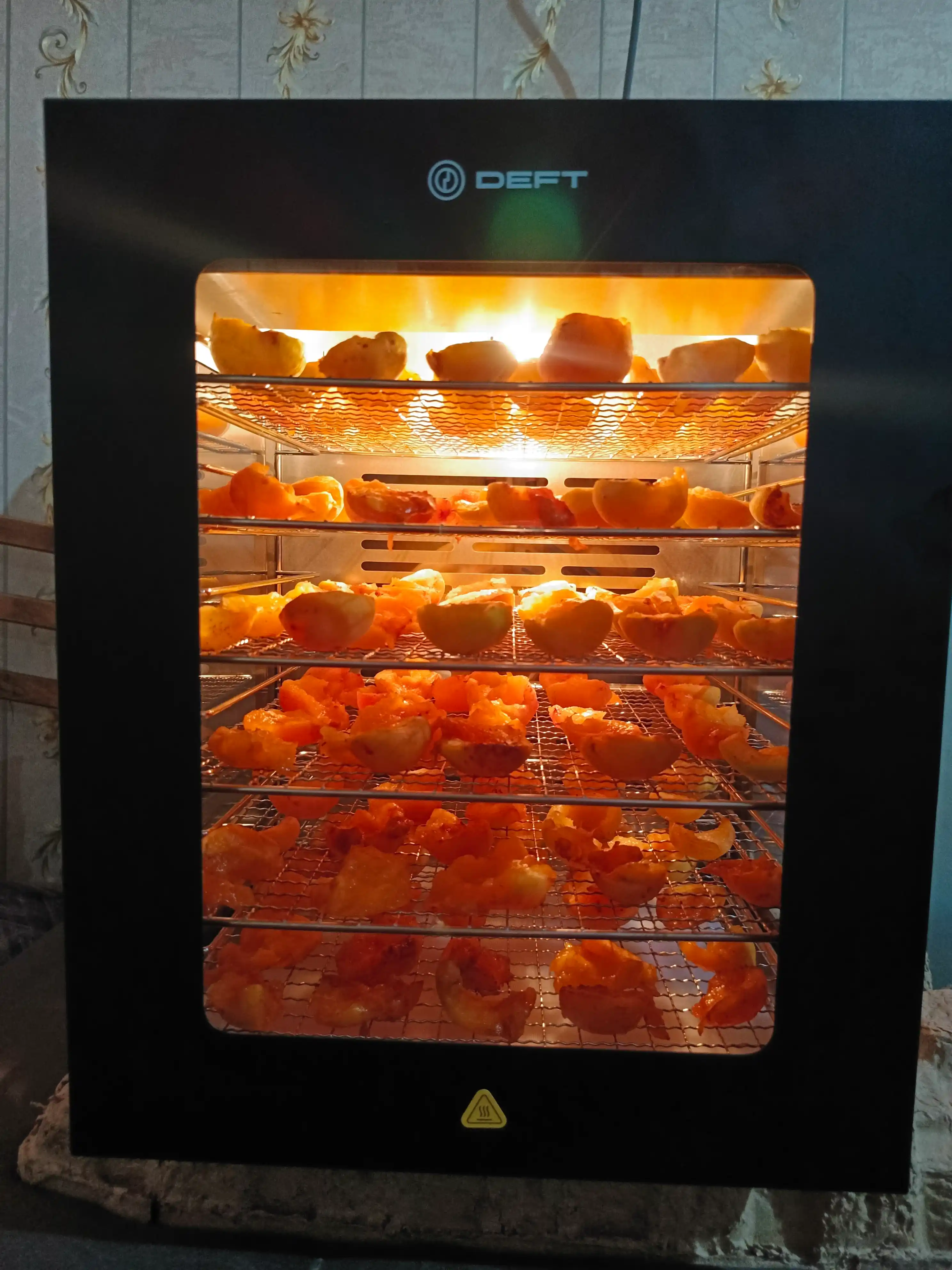 Meva va sabzavot quritgichi Dehidratator DEFT DTFD-1012