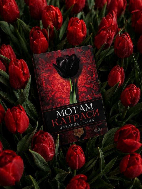 Motam Katrasi — Iskandar Pala, Tarixiy roman, turk adabiyoti, badiiy asar