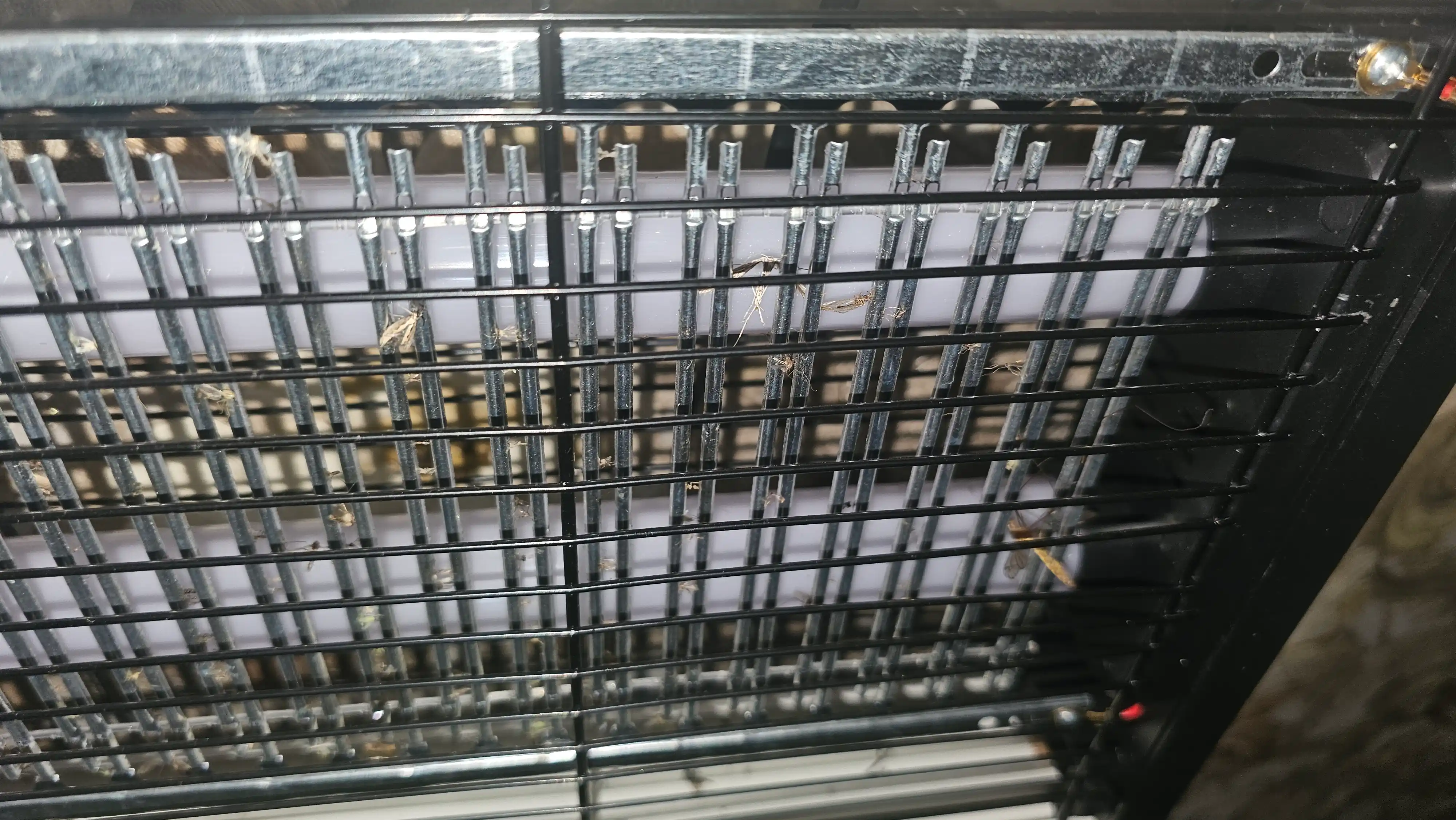 Chivin, pashsha va hasharotlarga qarshi elektr chivin urgich