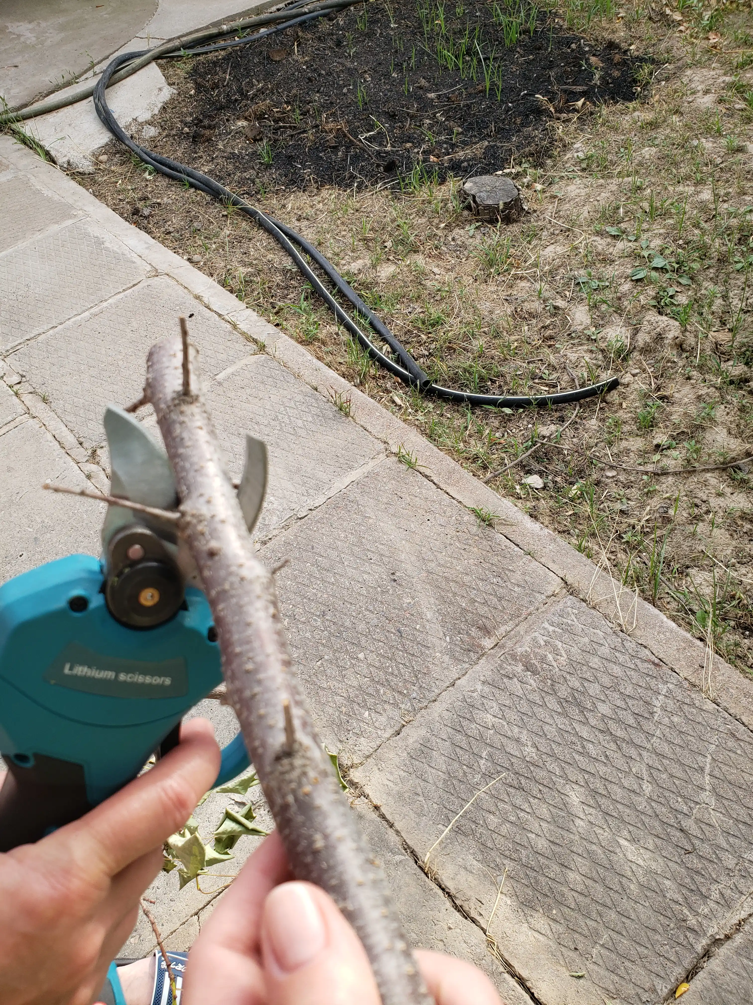 98v akkumulyatorli sekator va mini zanjirli arra to‘plami, 2 ta batareya va keys bilan
