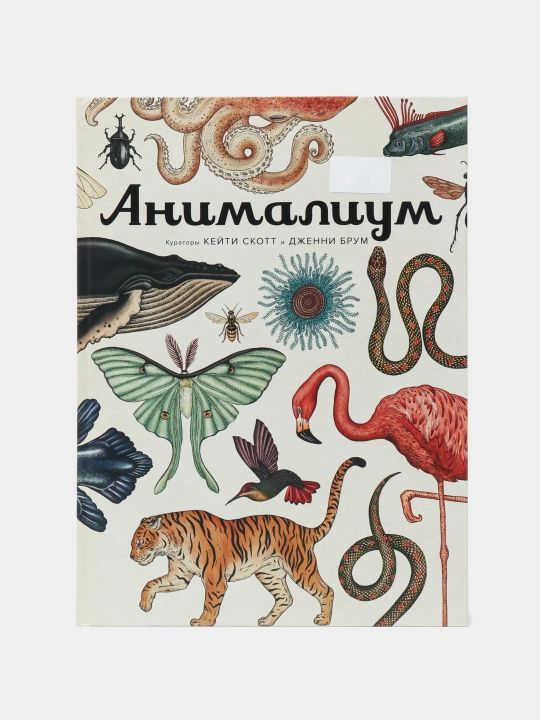 Анималиум, Брум Дженни - 