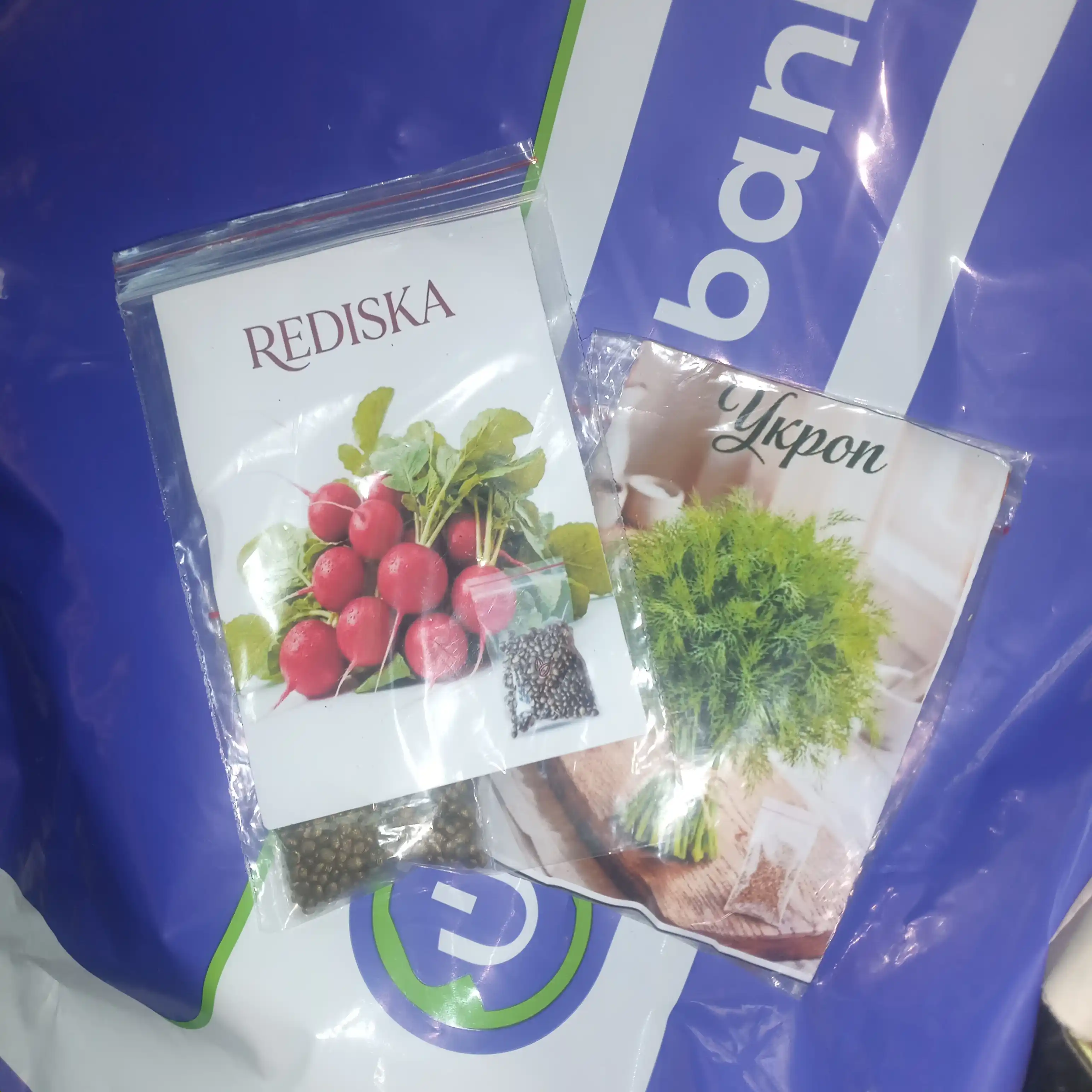 Семена укроп, кинза, лук, редиска