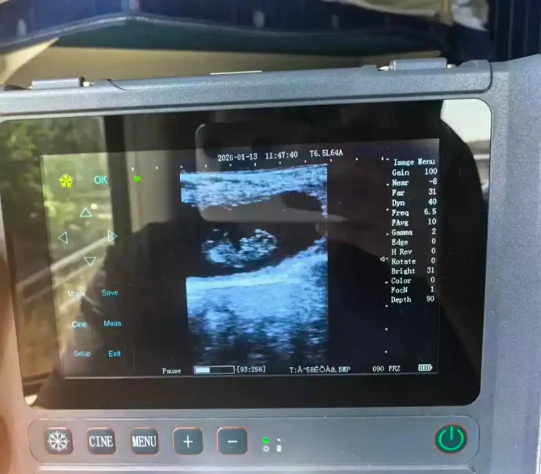 T1 Veterinariya UZI Apparati — Rektalni Universal Zondli Professional Ultrasound Scanner