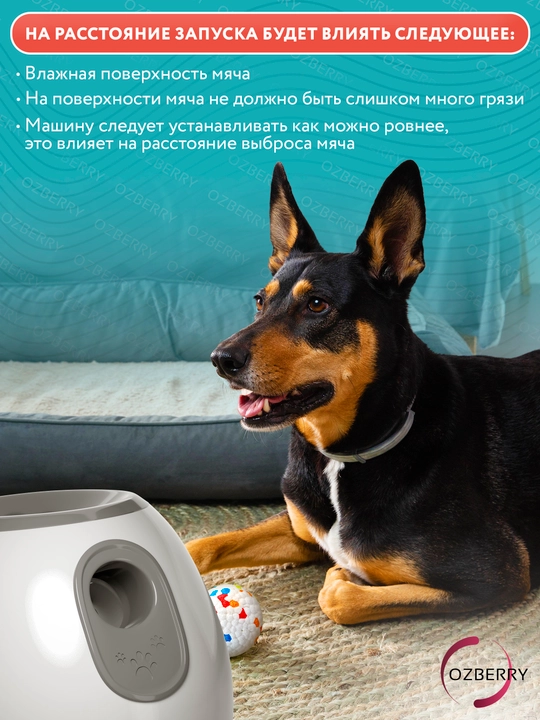 Интерактивная игрушка для собак, автоматический мяч для собак