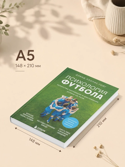 Дэвид Ллопис Гойг. Психология футбола. Искусство мотивации и достижения успеха на поле