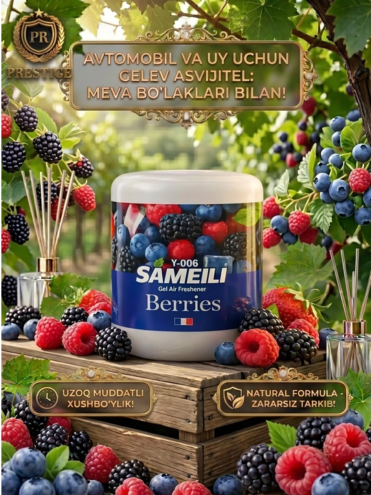 SAMELI Mashina va uy uchun xushbo‘ylantirgich, avtomobil saloni uchun gelli havo tozalagich, Sameli